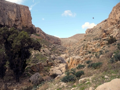 Photo of the crags in Palestine