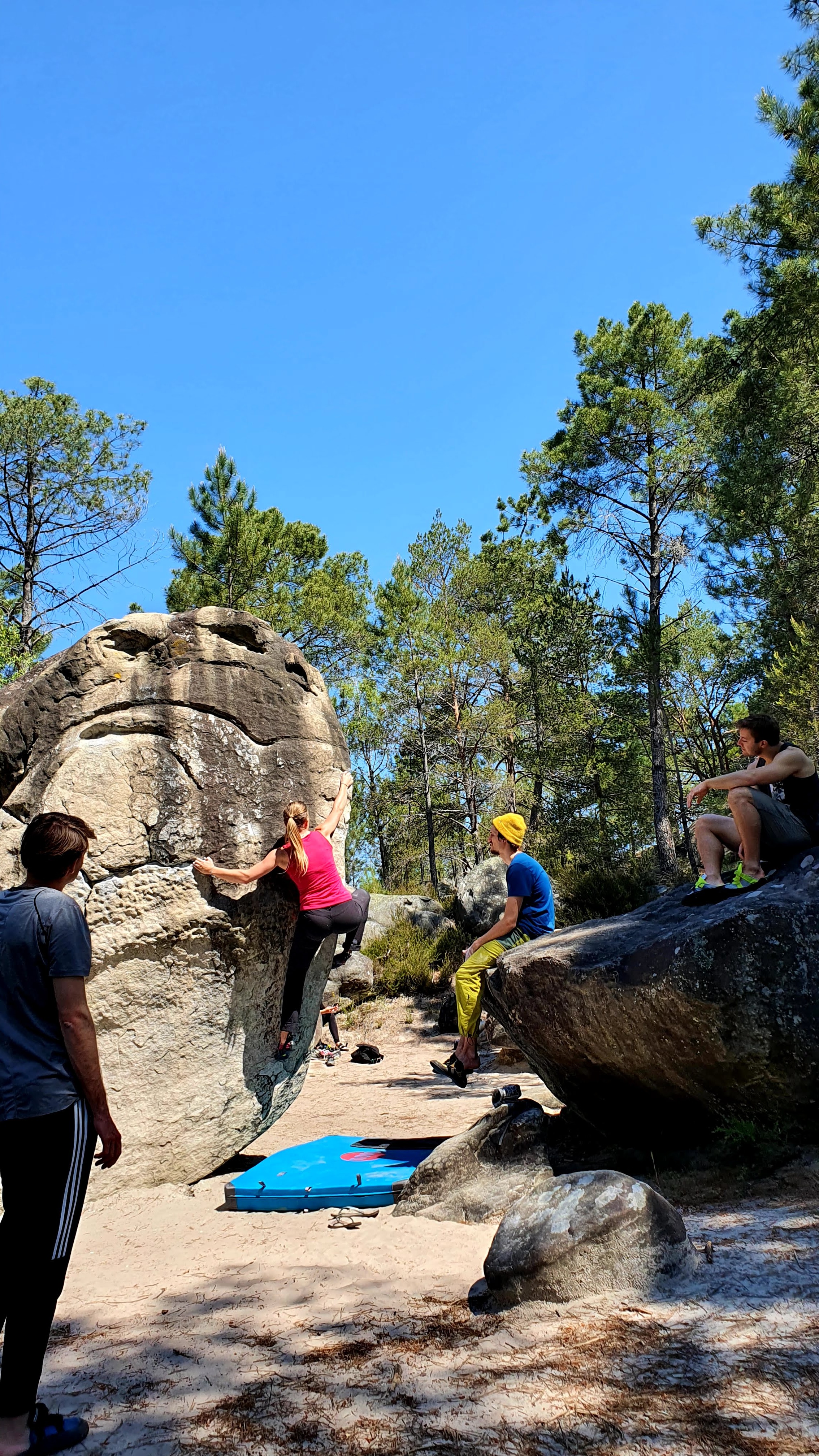 A group of people bouldering in the Fontainebleau forest