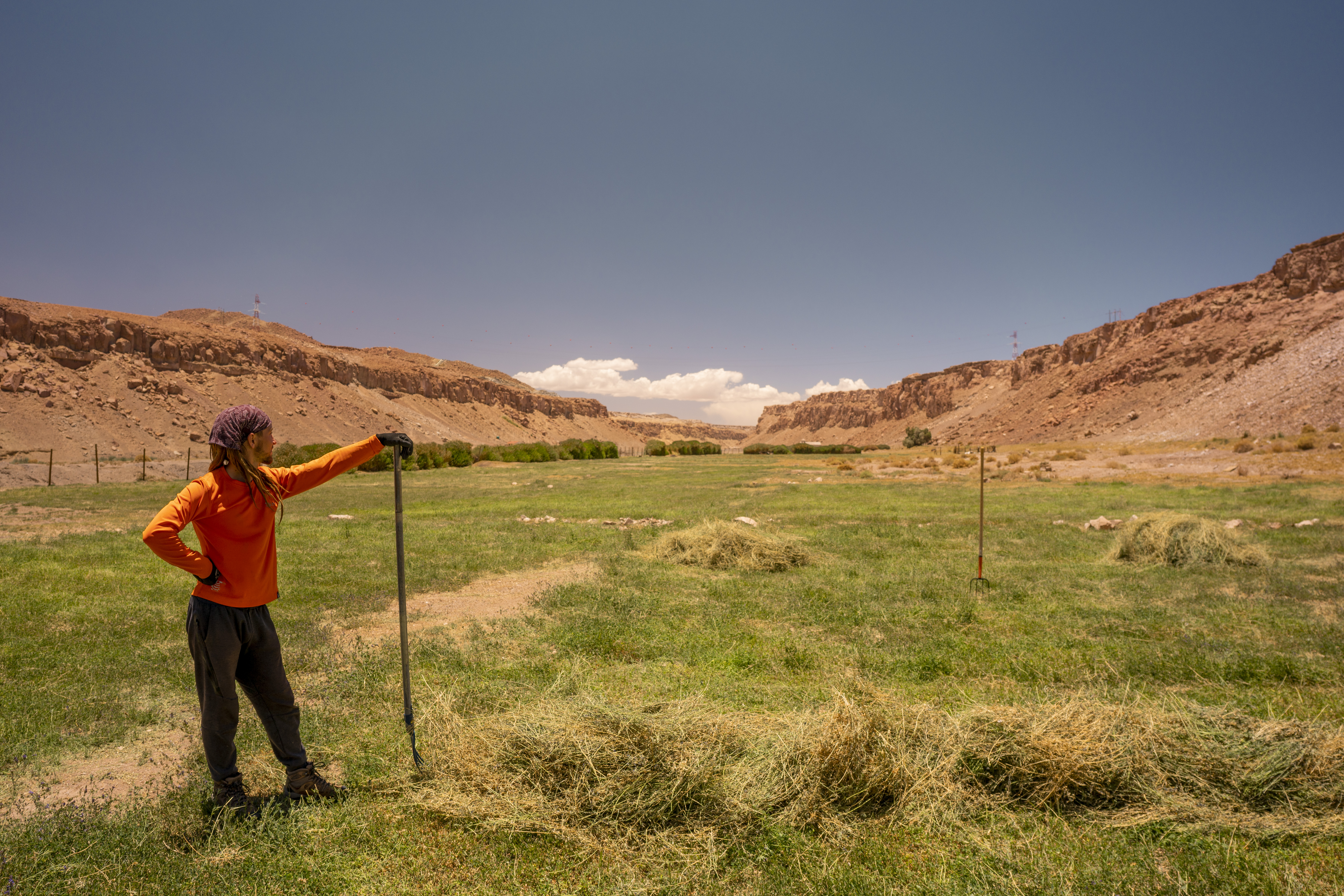 A person harvesting hay with a pitchfork, with the Chilean desert in the background