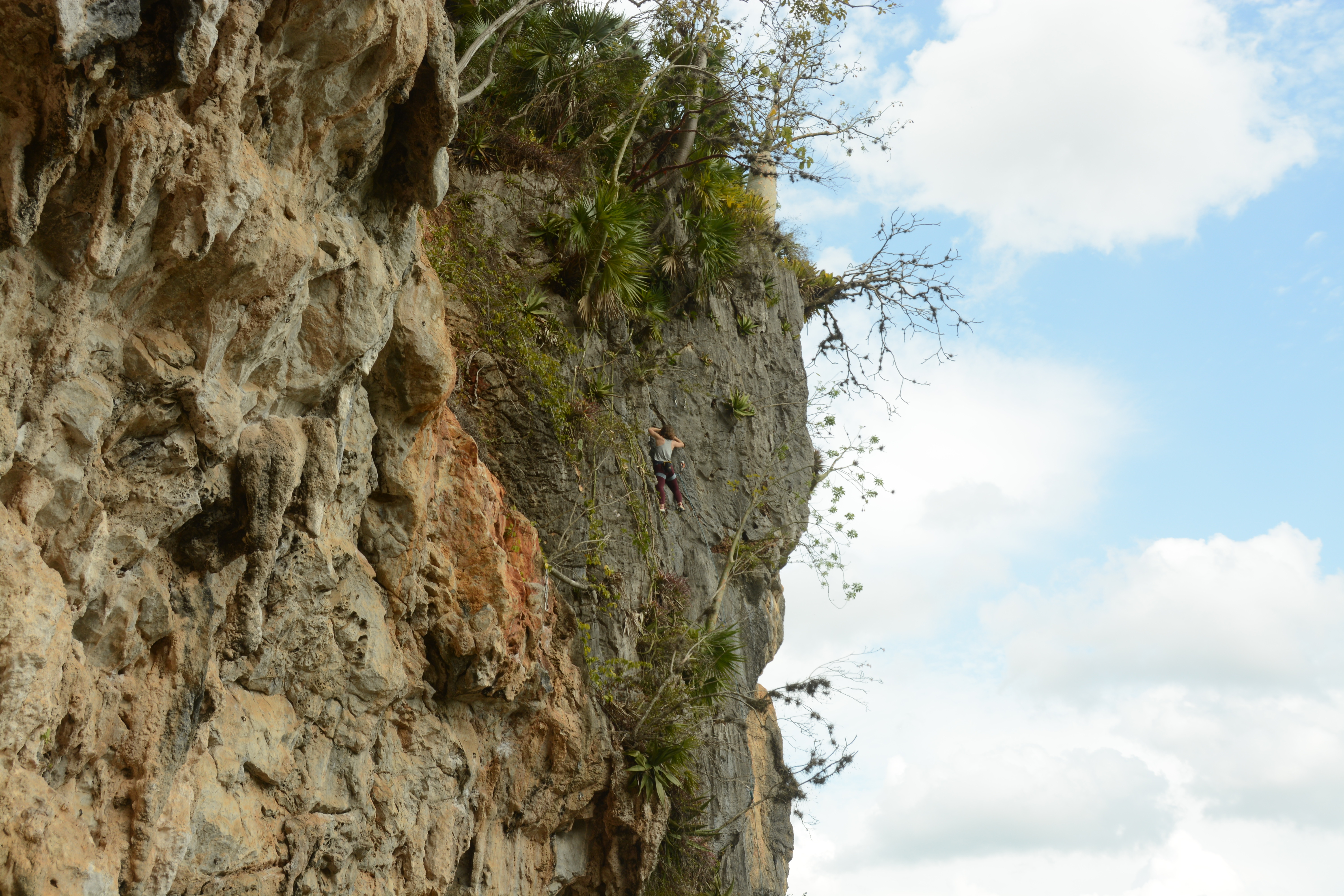 close-up shot of a person climbing in Vales de Vinales