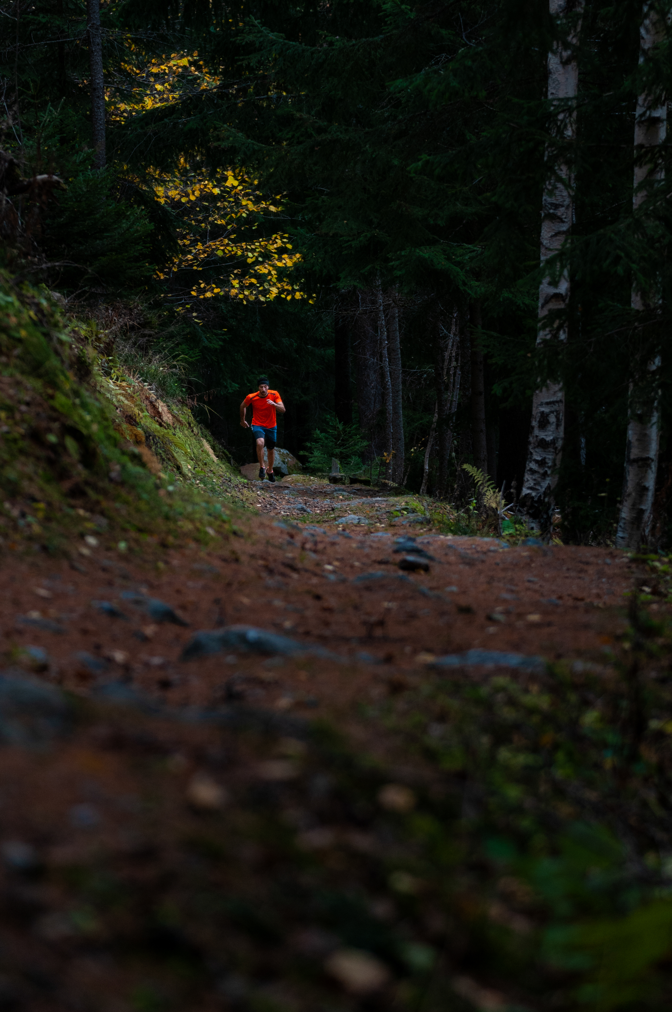 A person trail running in a dark forest